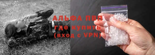 ECSTASY Богородицк