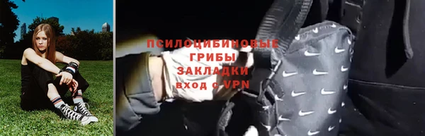 ECSTASY Богородицк