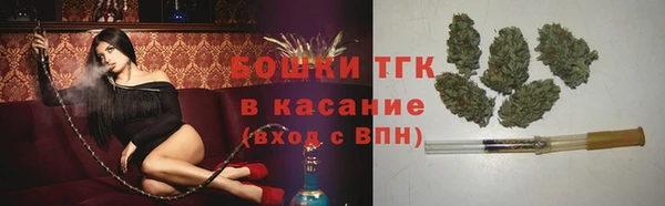 ECSTASY Богородицк