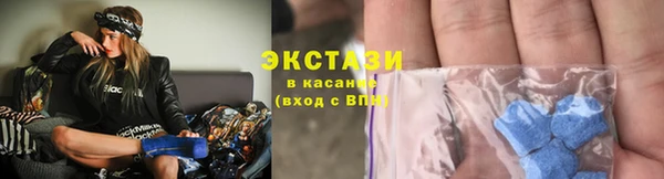 ECSTASY Богородицк