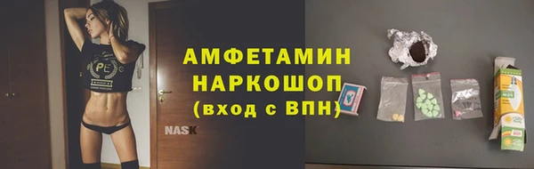 ECSTASY Богородицк