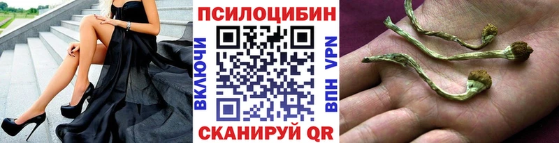 Галлюциногенные грибы мухоморы Кызыл